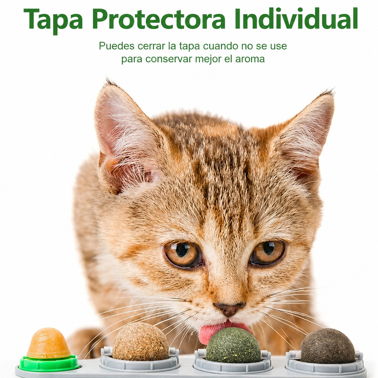 Bolas de Catnip 4 en 1 para Gatos