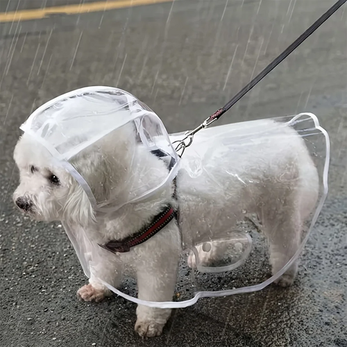Impermeable Transparente para Perros