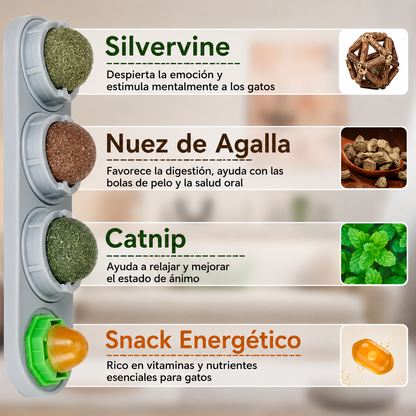 Bolas de Catnip 4 en 1 para Gatos