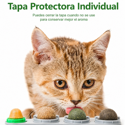 Bolas de Catnip 4 en 1 para Gatos