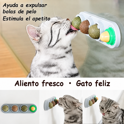 Bolas de Catnip 4 en 1 para Gatos