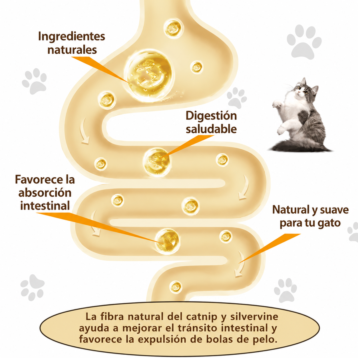 Bolas de Catnip 4 en 1 para Gatos