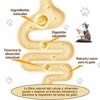 Bolas de Catnip 4 en 1 para Gatos