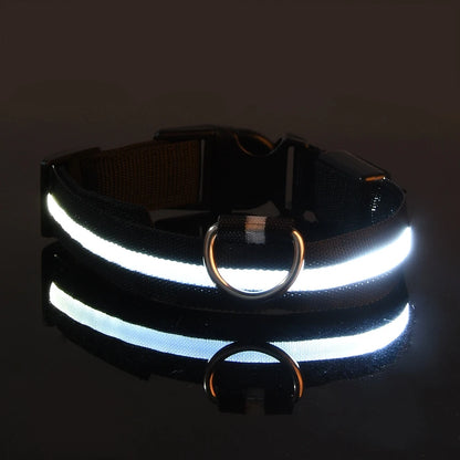 Correa LED para Mascotas