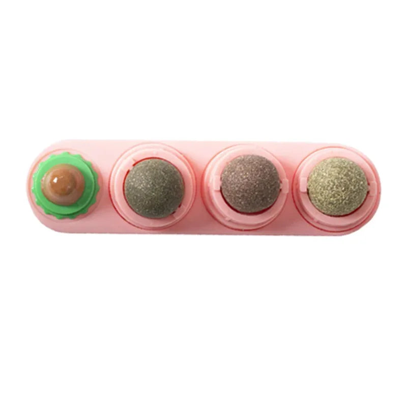 Bolas de Catnip 4 en 1 para Gatos