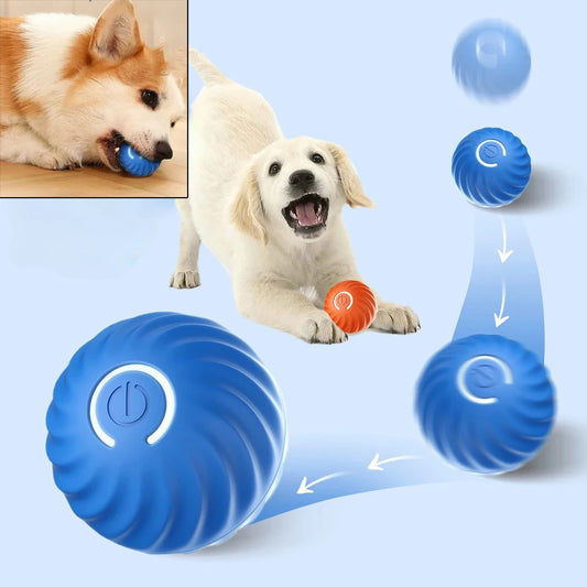 Pelota interactiva automática USB para perros