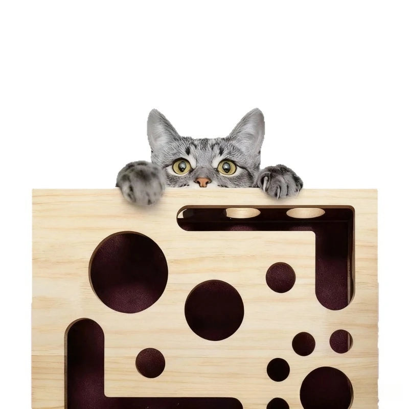 ScratchBox