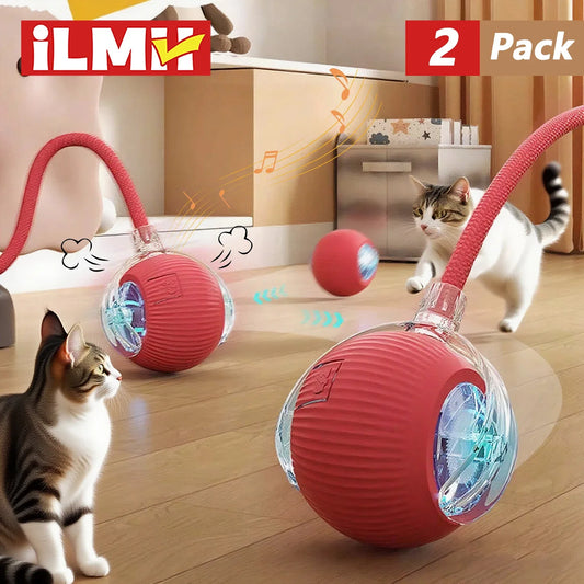 Pelota Interactiva con Cola