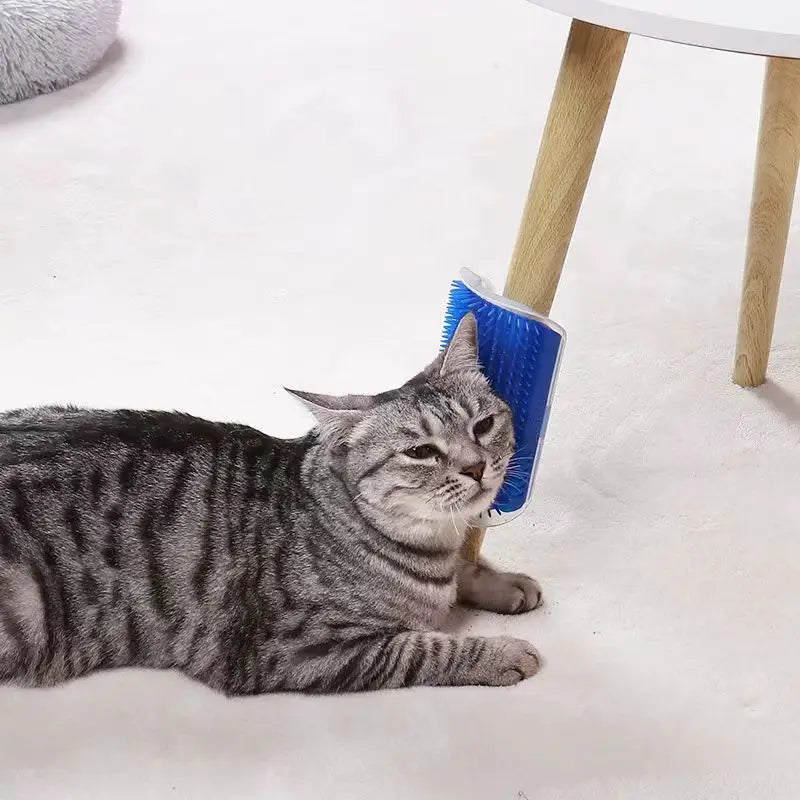 Cepillo Masajeador para Gatos