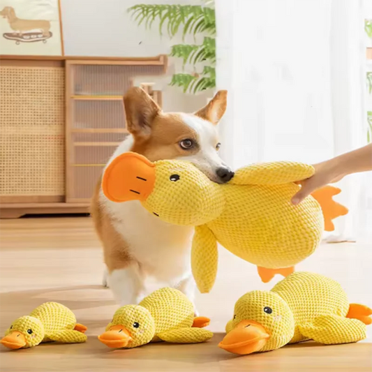 Juguete de Dormir Patito para Perros