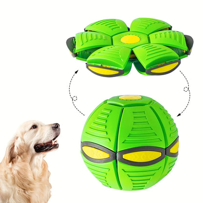 FlyBall Pro