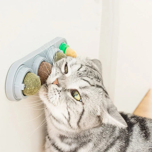 Bolas de Catnip 4 en 1 para Gatos
