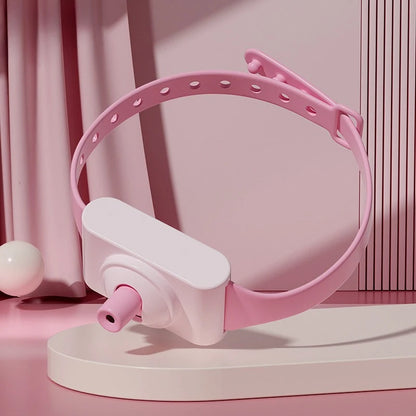 LaserPlay Collar